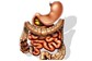 Exame de Gastroenterologia